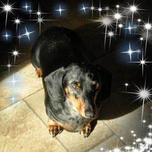 Meet your Posher, Crystal